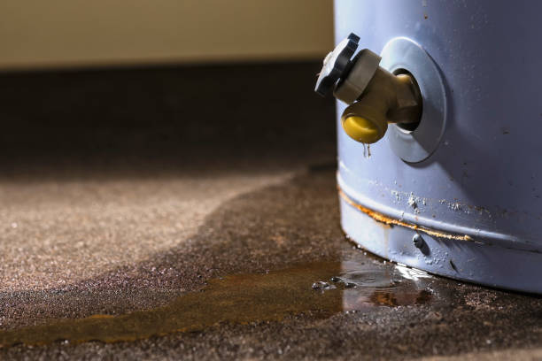 Best 24-hour water damage restoration  in Chinook, MT