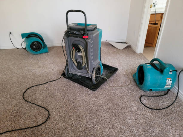 Best Emergency water damage restoration  in Chinook, MT