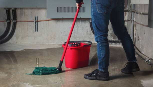 Best Ceiling water damage repair  in Chinook, MT