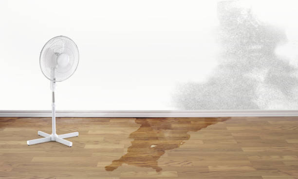 Best 24/7 water damage repair  in Chinook, MT